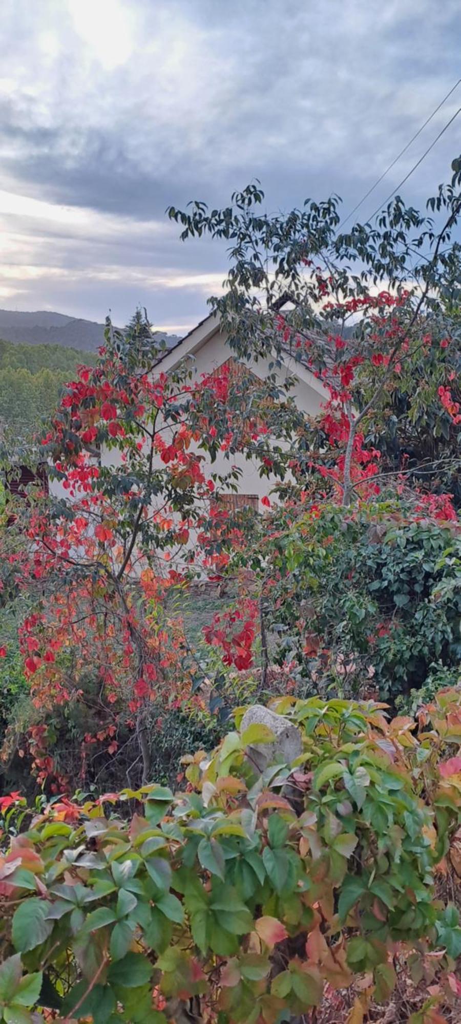 Chalet Entre Parques Naturales Vallgorguina Екстериор снимка